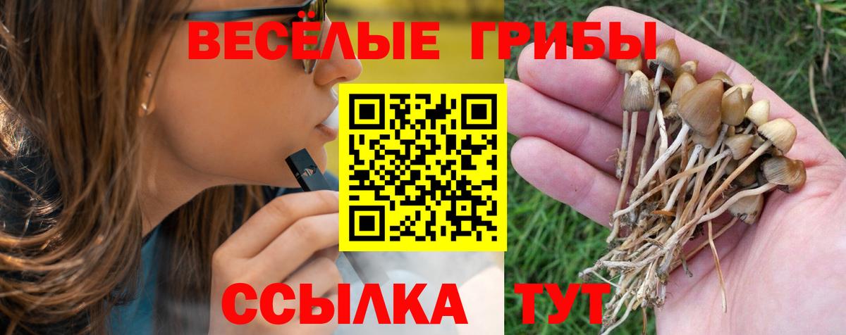 Галлюциногенные грибы мухоморы Ачхой-Мартан