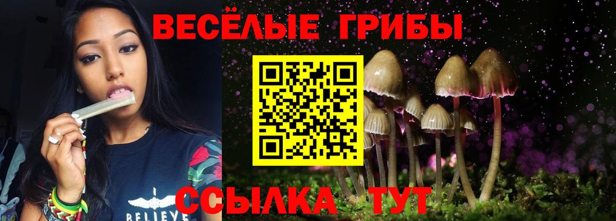 Галлюциногенные грибы Psilocybine cubensis  Вход с VPN  Галлюциногенные грибы MAGIC MUSHROOMS  где найти наркотики  Ачхой-Мартан 